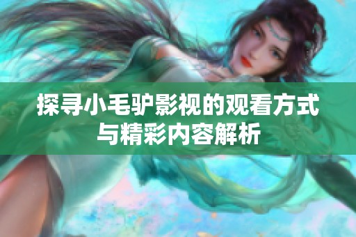 探寻小毛驴影视的观看方式与精彩内容解析