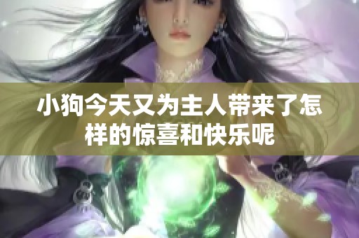 小狗今天又为主人带来了怎样的惊喜和快乐呢
