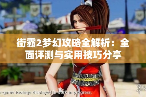 街霸2梦幻攻略全解析：全面评测与实用技巧分享