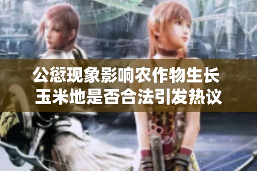 公愆现象影响农作物生长 玉米地是否合法引发热议