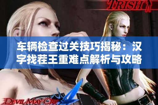 车辆检查过关技巧揭秘：汉字找茬王重难点解析与攻略分享