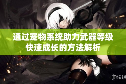通过宠物系统助力武器等级快速成长的方法解析