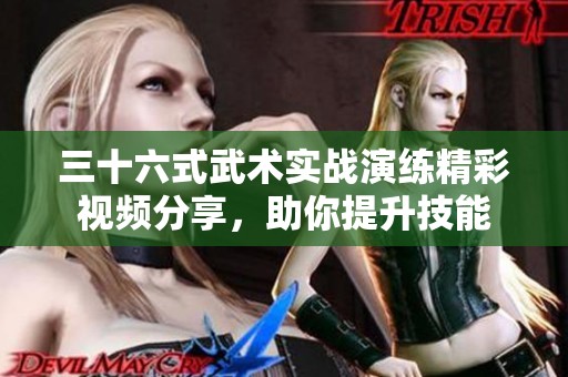 三十六式武术实战演练精彩视频分享，助你提升技能