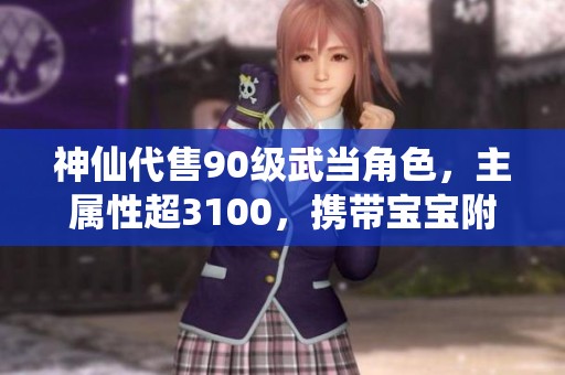 神仙代售90级武当角色，主属性超3100，携带宝宝附加血蓝量