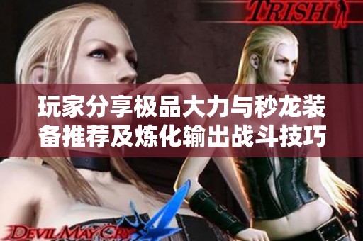 玩家分享极品大力与秒龙装备推荐及炼化输出战斗技巧解析