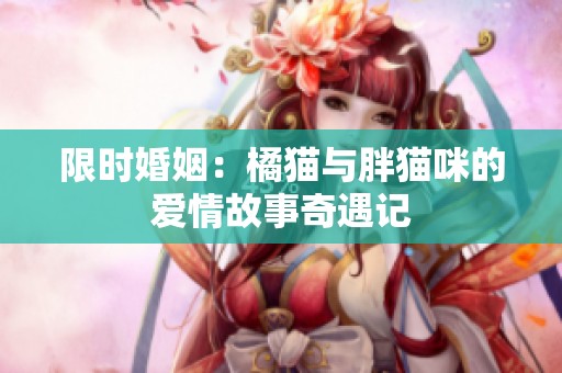 限时婚姻：橘猫与胖猫咪的爱情故事奇遇记