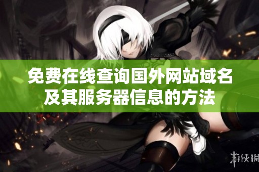 免费在线查询国外网站域名及其服务器信息的方法