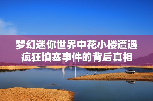 梦幻迷你世界中花小楼遭遇疯狂填塞事件的背后真相