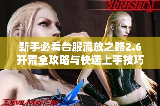 新手必看台服流放之路2.6开荒全攻略与快速上手技巧