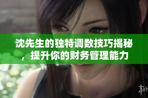 沈先生的独特调数技巧揭秘，提升你的财务管理能力