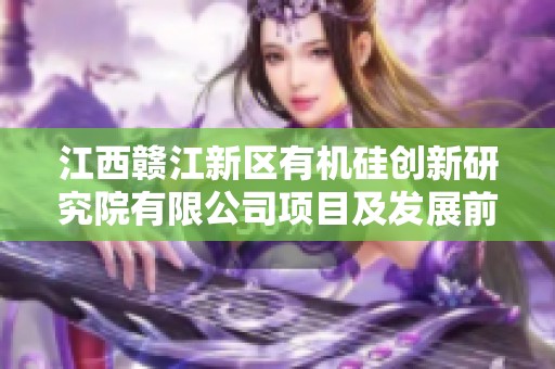 江西赣江新区有机硅创新研究院有限公司项目及发展前景分析