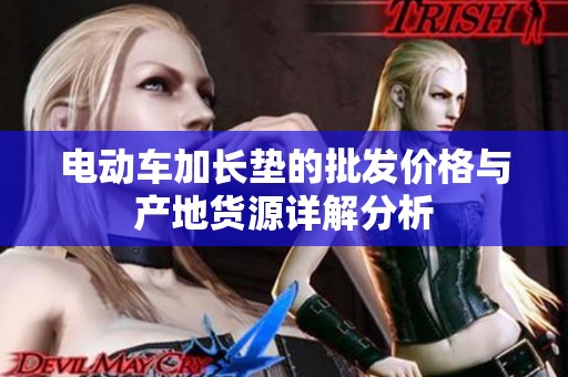 电动车加长垫的批发价格与产地货源详解分析