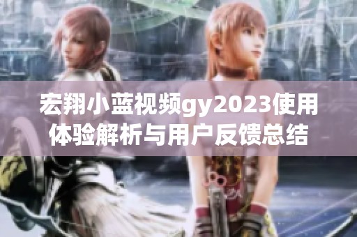 宏翔小蓝视频gy2023使用体验解析与用户反馈总结