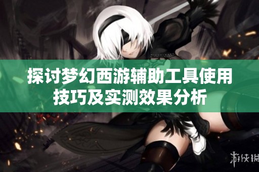 探讨梦幻西游辅助工具使用技巧及实测效果分析