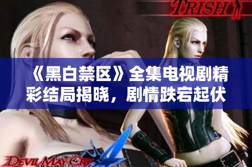 《黑白禁区》全集电视剧精彩结局揭晓，剧情跌宕起伏引人深思