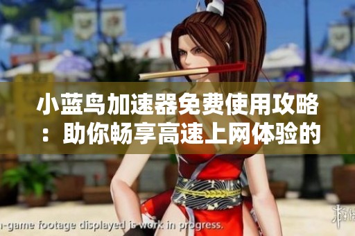 小蓝鸟加速器免费使用攻略：助你畅享高速上网体验的秘密武器揭秘