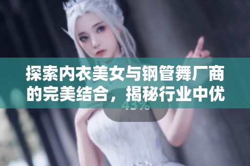 探索内衣美女与钢管舞厂商的完美结合，揭秘行业中优秀的公司与企业