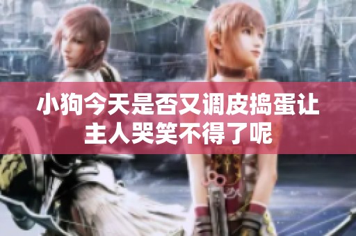小狗今天是否又调皮捣蛋让主人哭笑不得了呢
