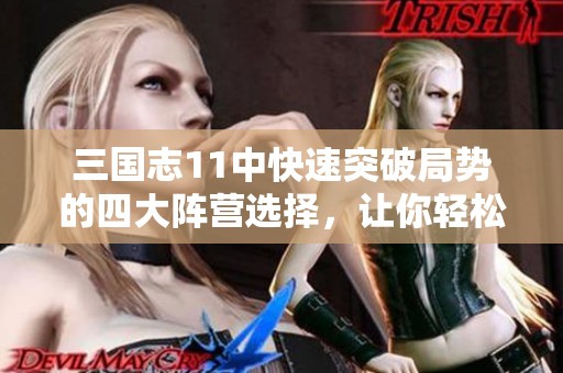 三国志11中快速突破局势的四大阵营选择，让你轻松应对强敌实现速推之路