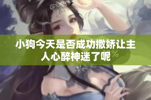 小狗今天是否成功撒娇让主人心醉神迷了呢