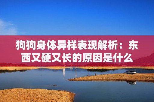 狗狗身体异样表现解析：东西又硬又长的原因是什么