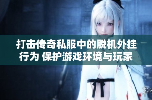 打击传奇私服中的脱机外挂行为 保护游戏环境与玩家公平竞争体验