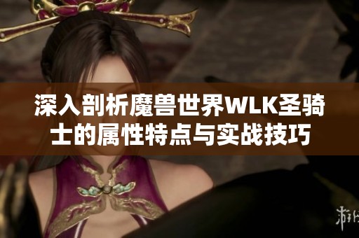 深入剖析魔兽世界WLK圣骑士的属性特点与实战技巧