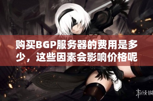 购买BGP服务器的费用是多少，这些因素会影响价格呢