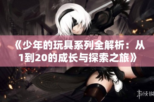 《少年的玩具系列全解析：从1到20的成长与探索之旅》
