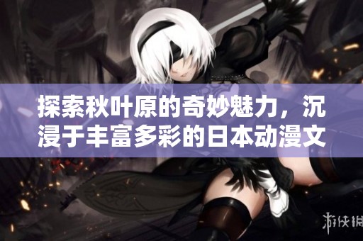 探索秋叶原的奇妙魅力，沉浸于丰富多彩的日本动漫文化世界