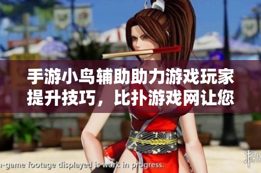 手游小鸟辅助助力游戏玩家提升技巧，比扑游戏网让您畅享游戏乐趣与胜利！