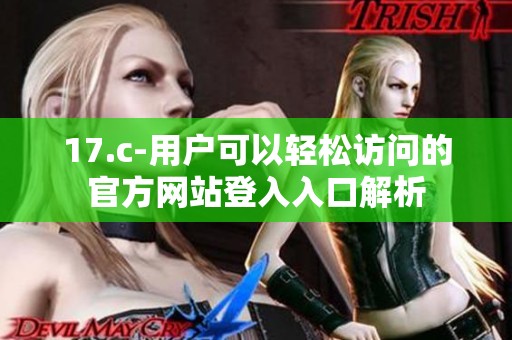 17.c-用户可以轻松访问的官方网站登入入口解析