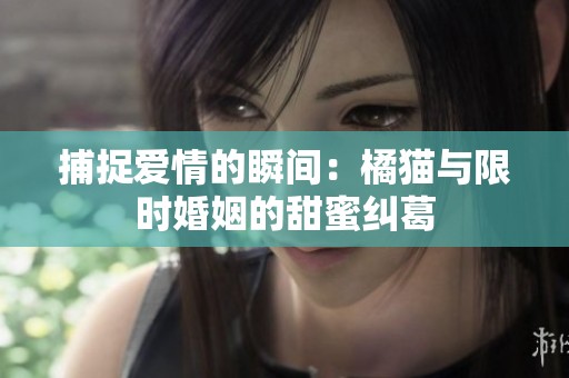 捕捉爱情的瞬间：橘猫与限时婚姻的甜蜜纠葛