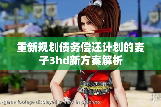 重新规划债务偿还计划的麦子3hd新方案解析