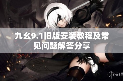 九幺9.1旧版安装教程及常见问题解答分享