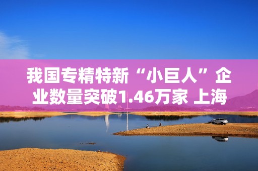 我国专精特新“小巨人”企业数量突破1.46万家 上海市发展势头引人关注