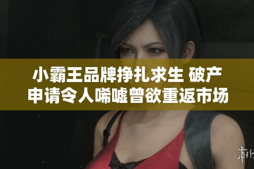 小霸王品牌挣扎求生 破产申请令人唏嘘曾欲重返市场谋求上市