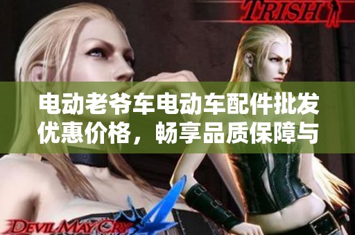 电动老爷车电动车配件批发优惠价格，畅享品质保障与超值促销活动