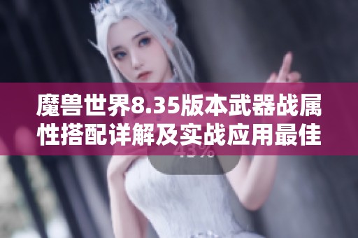 魔兽世界8.35版本武器战属性搭配详解及实战应用最佳方案分析