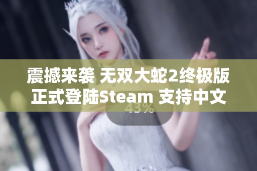 震撼来袭 无双大蛇2终极版正式登陆Steam 支持中文玩法引发热议