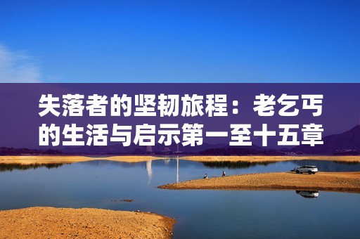 失落者的坚韧旅程：老乞丐的生活与启示第一至十五章