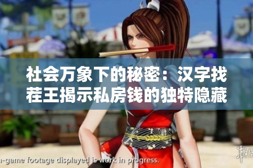 社会万象下的秘密：汉字找茬王揭示私房钱的独特隐藏技巧与方法