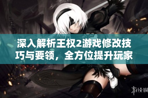 深入解析王权2游戏修改技巧与要领，全方位提升玩家体验的关键秘籍