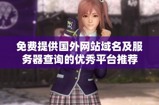 免费提供国外网站域名及服务器查询的优秀平台推荐