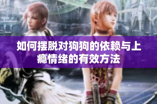 如何摆脱对狗狗的依赖与上瘾情绪的有效方法