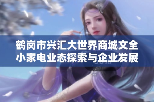 鹤岗市兴汇大世界商城文全小家电业态探索与企业发展动态分析