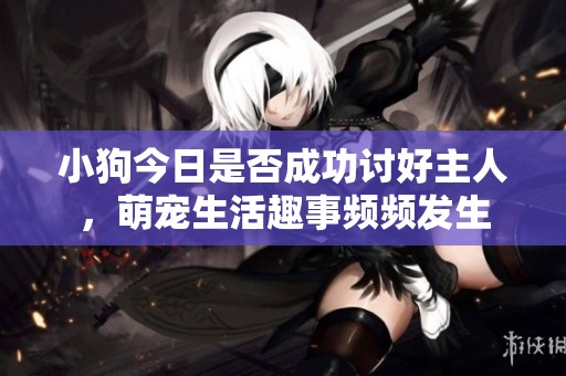 小狗今日是否成功讨好主人，萌宠生活趣事频频发生