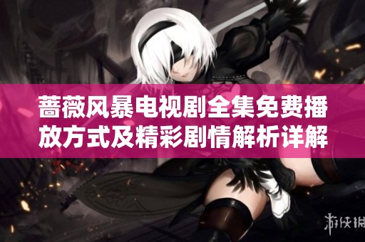 蔷薇风暴电视剧全集免费播放方式及精彩剧情解析详解