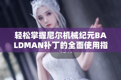 轻松掌握尼尔机械纪元BALDMAN补丁的全面使用指南与技巧分享