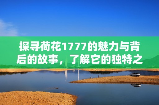 探寻荷花1777的魅力与背后的故事，了解它的独特之处